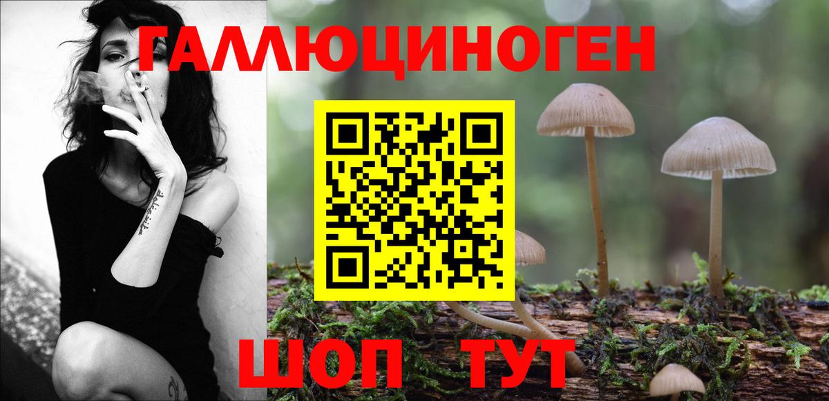 Псилоцибиновые грибы мухоморы Буйнакск