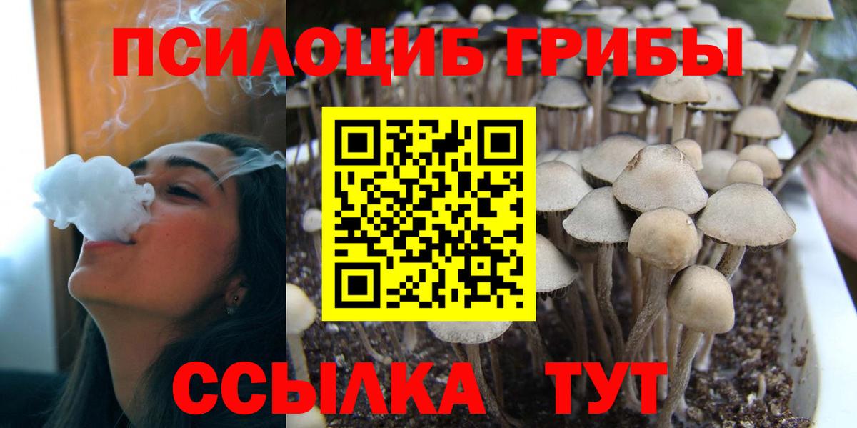 Галлюциногенные грибы Magic Shrooms  Галлюциногенные грибы мицелий  Буйнакск  Вход с VPN 